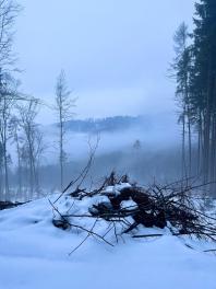 IMG-20260124-WA0018